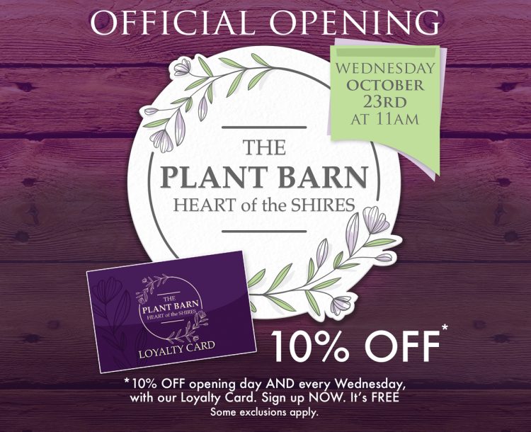 The Plant Barn – Grand Opening